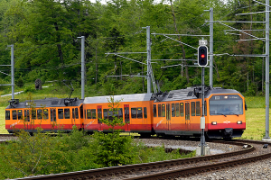 Ein Zug auf den Schienen mit Strommasten und Kabeln, umgeben von Bäumen, Blumen, Pflanzen und Gras.