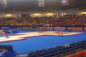 Eine Stadionszene mit Menschen auf Stühlen sitzend, andere im Hintergrund stehend, Werbetafeln oben, Treppe in der Mitte und eine Person, die Turnen ausführt.