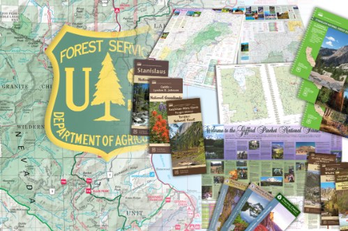 UPSC verkündet finale Ergebnisse für den Indian Forest Service 2025