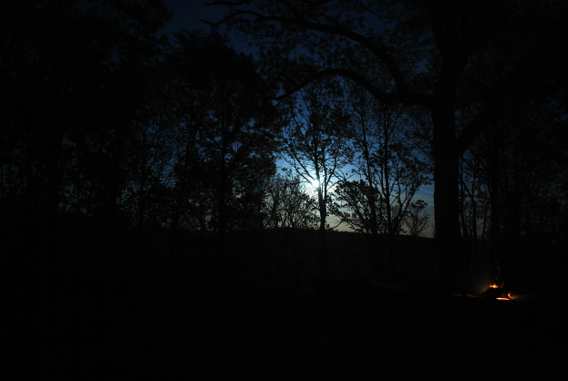 Ein Lagerfeuer inmitten eines dunklen Waldes in der Nacht, umgeben von Bäumen und vom Mondlicht erhellt.