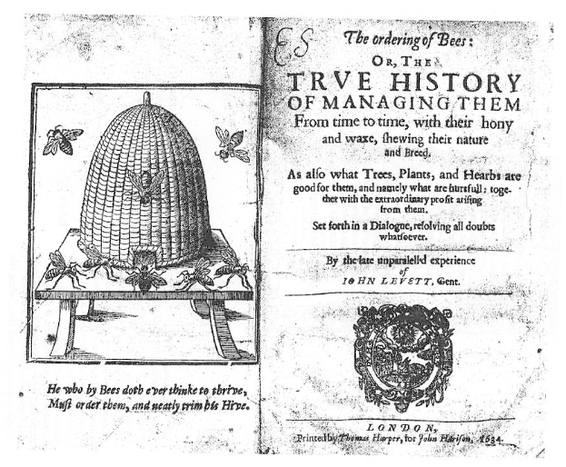 Ein altes Buch mit einer Zeichnung eines Bienenstocks umgeben von Insekten, betitelt mit "Die Ordnung der Bienen oder die wahre Geschichte ihrer Führung".