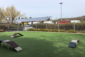Ein Hundepark mit künstlichem Gras und Rampen, umgeben von einem Zaun, Pflanzen, Bäumen, Fahrzeugen, Schuppen, Pfählen und einer Laterne, mit dem Himmel im Hintergrund.