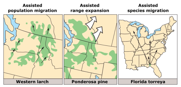 A poster featuring a U.S. map illustrating assisted population migration types, with accompanying explanatory text.
