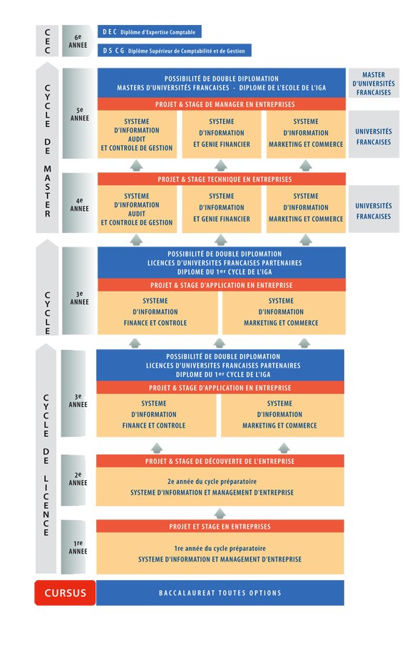 Diagramm, das die organisatorische Struktur eines Unternehmens mit interconnected boxes darstellt, die verschiedene Phasen des Unternehmenswachstums und der Entwicklung darstellen, begleitet von Text, der die Rollen und Verantwortlichkeiten beschreibt.