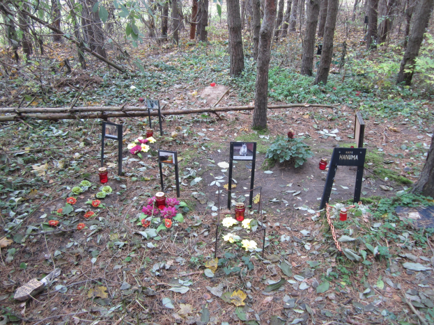 Ein Denkmal in einem bewaldeten Bereich mit Blumen, Kerzen und Informationsschildern auf dem Boden, umgeben von Pflanzen und Bäumen, mit verstreuten Blättern und Gegenständen am Boden.