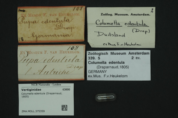 A collection of old business cards with text related to columella edentula medicine and a small piece of paper with a barcode.