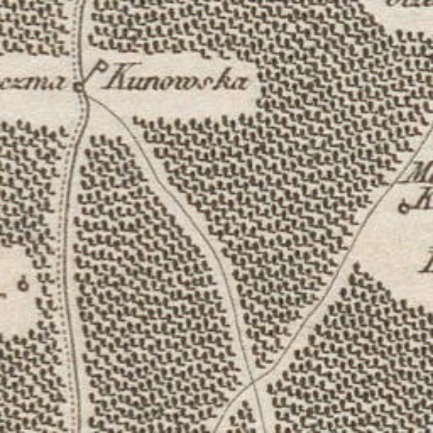 Kanada verbietet Zwangssterilisationen – ein historischer Sieg nach Jahrzehnten des Kampfes