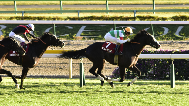 Zwei Jockeys auf Pferden, die eine Rennbahn entlanggaloppieren, umgeben von Grün, mit einer Absperrung und einer Anzeigetafel im Hintergrund.