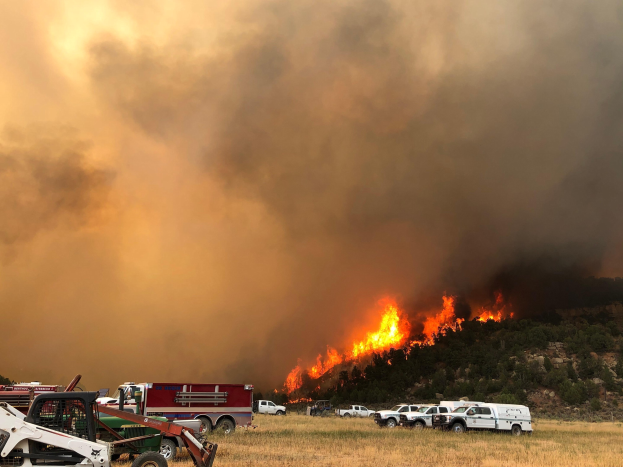 Großbrand in einem Feld mit Fahrzeugen und Bäumen im Hintergrund, der Himmel ist voller Rauch.