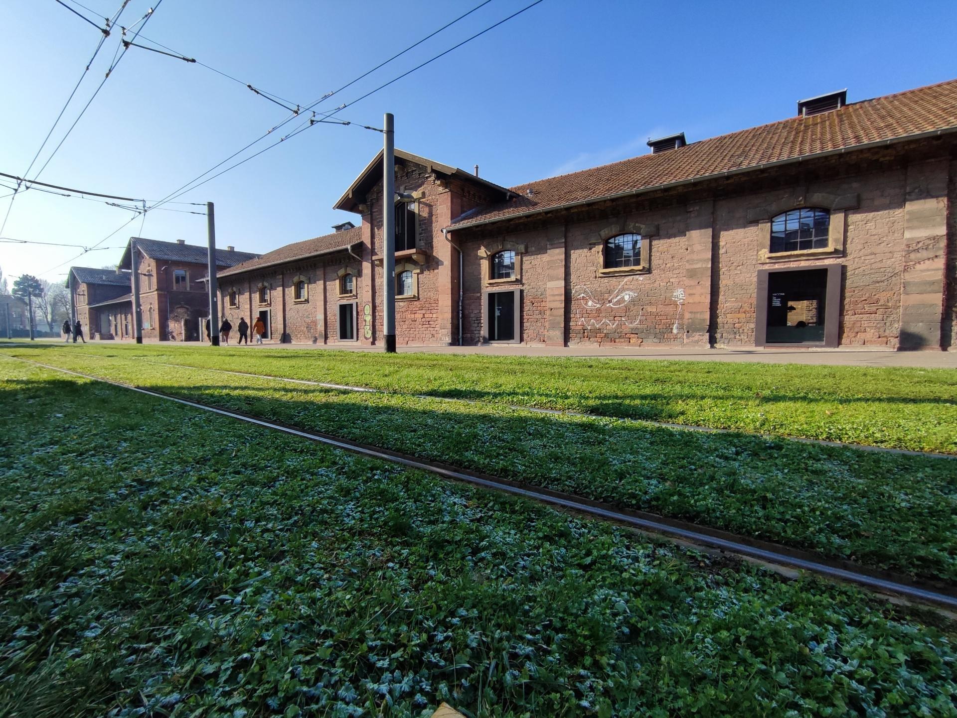 Train track running through a grassy field beside a brick building with windows and doors, surrounded by utility poles with wires, trees, and a few people, set in the Auschwitz-Birkenau concentration camp in Poland.