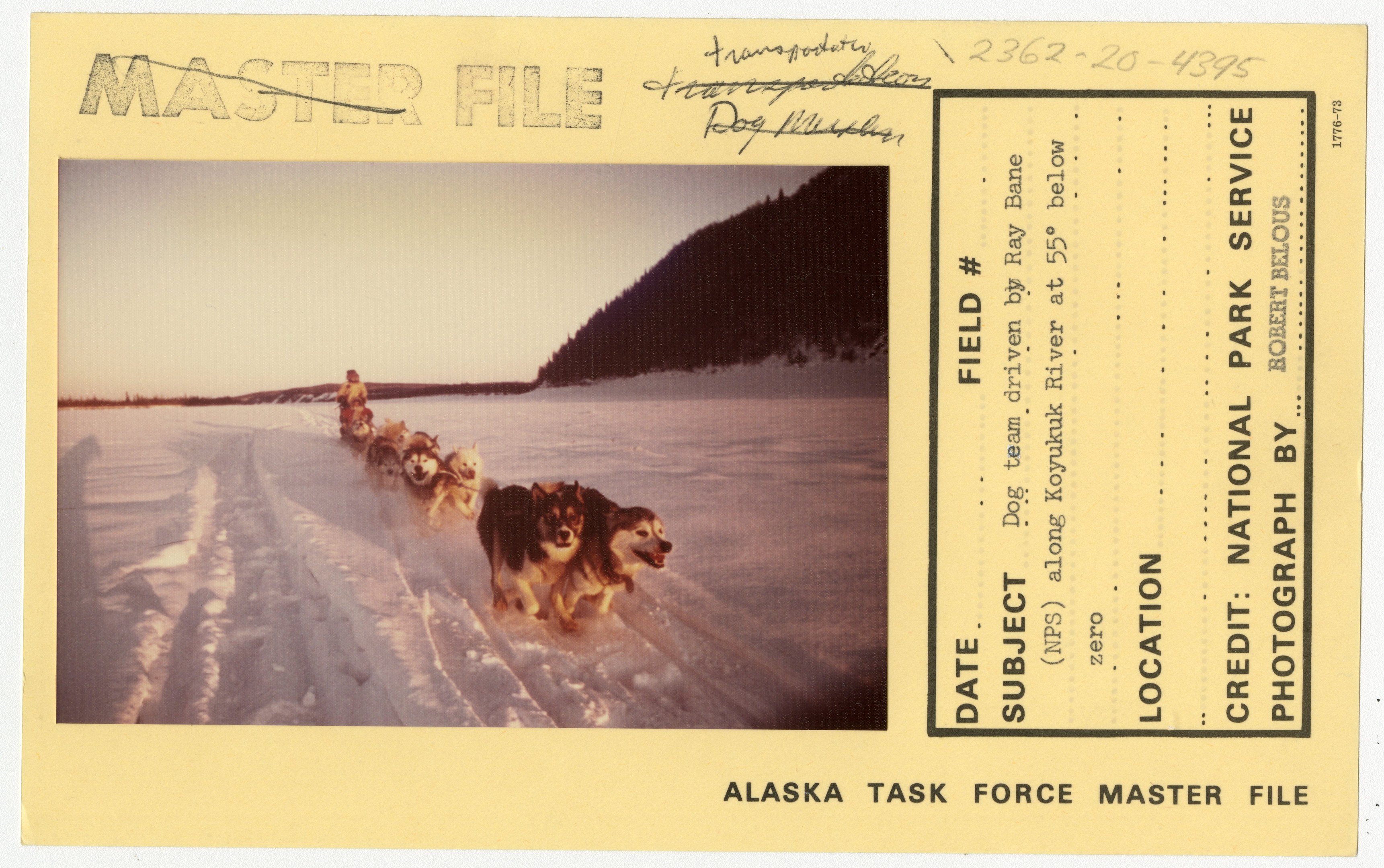 Eine Gruppe von Hunden, die einen Schlitten durch den Schnee ziehen, mit einer Person im Vordergrund, Hügel und einen klaren blauen Himmel im Hintergrund und eine Eintrittskarte mit Text auf der rechten Seite.