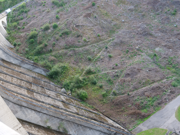 Luftaufnahme eines Damms mit Schutt an seiner Seite, begrenzt von einer Wand auf der linken und Gras mit einer Straße auf der rechten Seite, umgeben von Bäumen, während der Abriss.