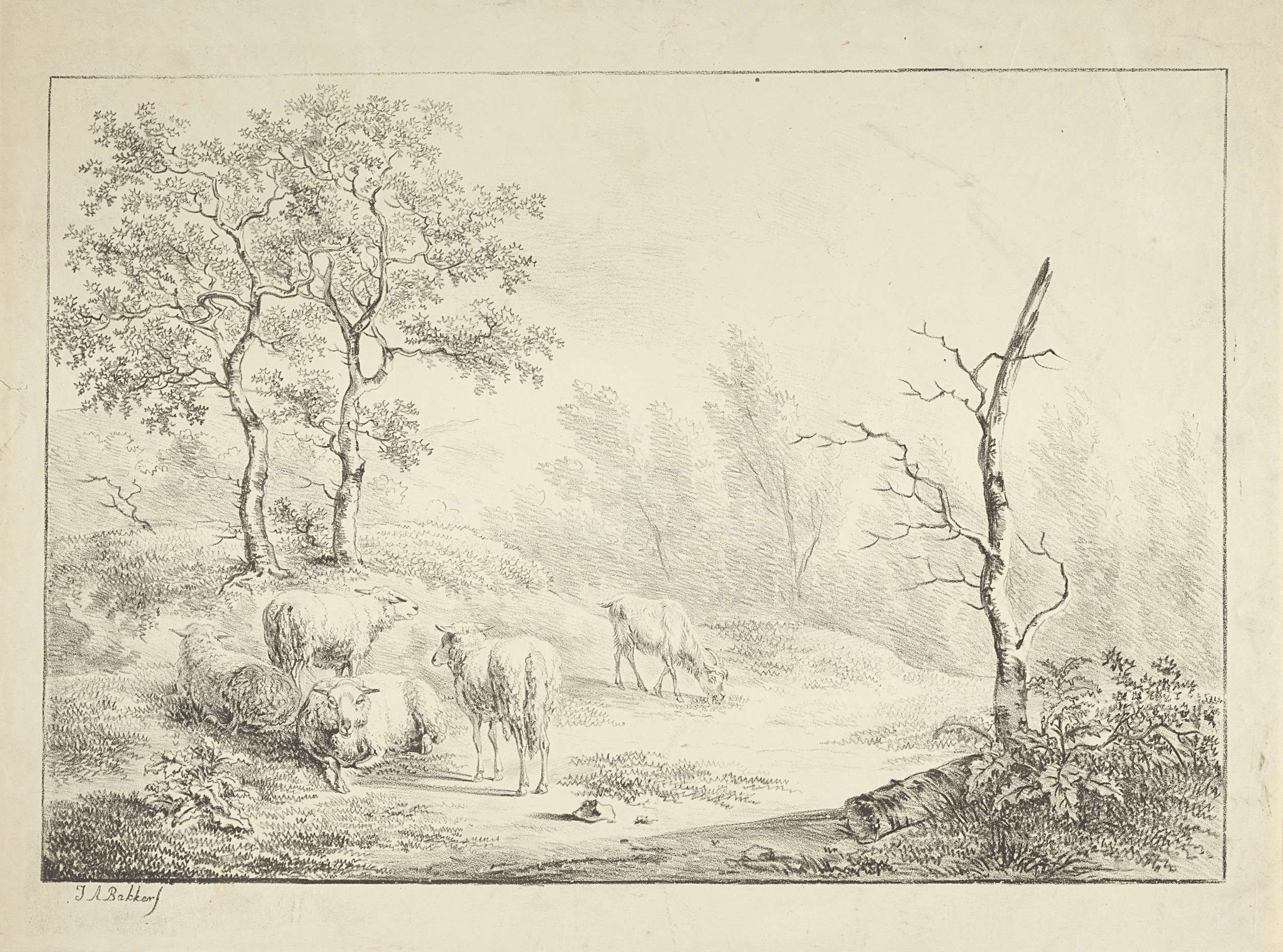 A wooded landscape with a herd of sheep grazing in the foreground, surrounded by trees and plants, with text at the bottom.