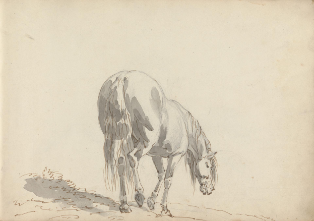 Ein Pferd, das auf einer Wiese grast, dargestellt in einem realistischen Stil von Joseph Mallord William Turner mit wallender Mähne und Schweif, konzentrierten Augen und Hufen, die auf dem Gras stehen, vor einem grünen Hintergrund mit entfernten Bäumen.