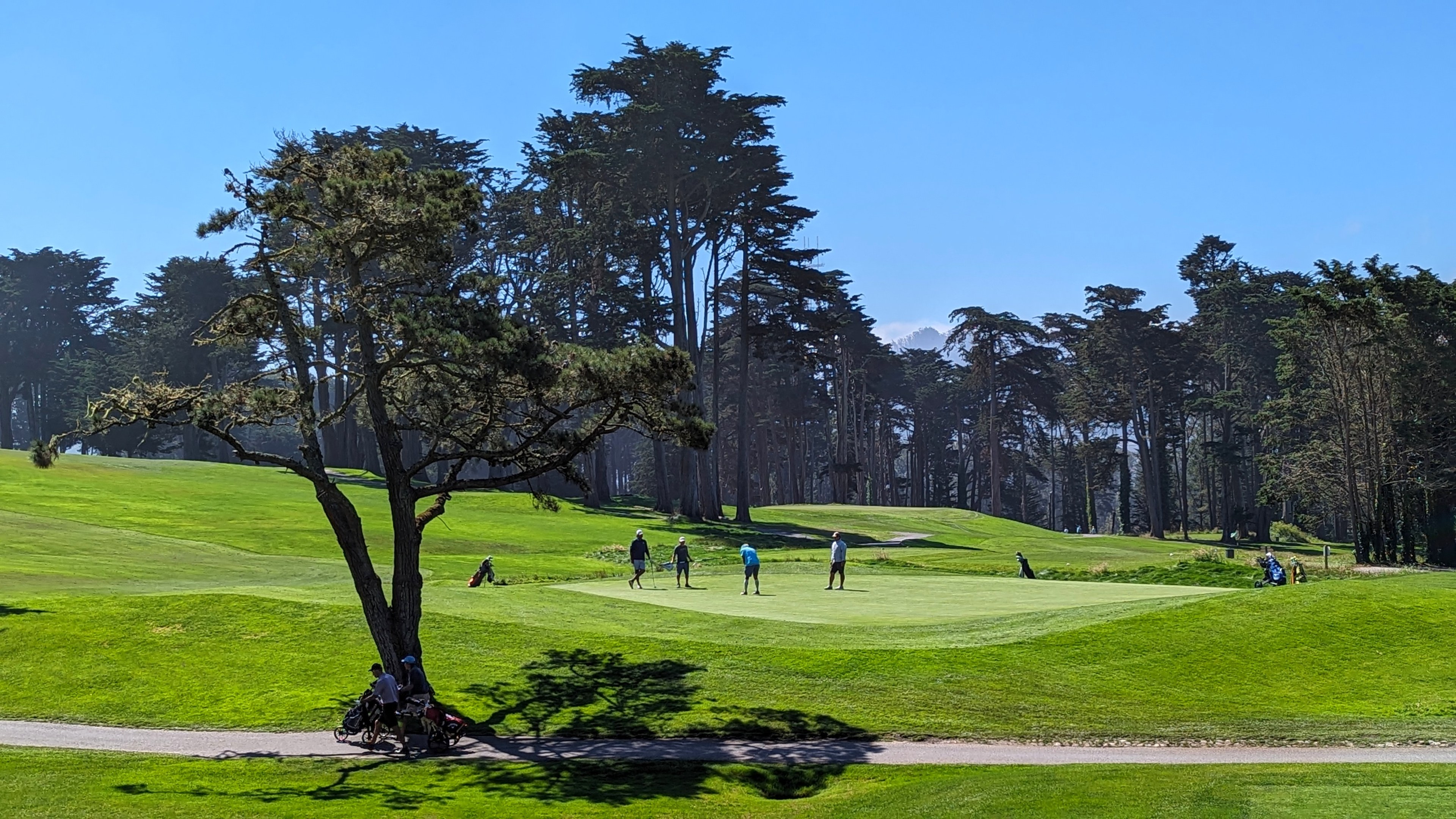 Eine Gruppe von Menschen, die auf einem grünen Feld mit Bäumen und einem klaren Himmel Golf spielen, einschließlich einer Person im Rollstuhl im Vordergrund.