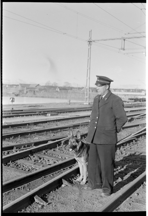Schwarzes und weißes Bild eines uniformierten Mannes in einer Mütze neben einem Hund auf einem Bahngleis mit Strommasten, Kabeln, Bäumen und einem klaren Himmel im Hintergrund.