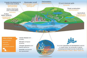 Diagram of ocean pollution types with a globe surrounded by coral reefs, buildings, trees, and water, accompanied by text.