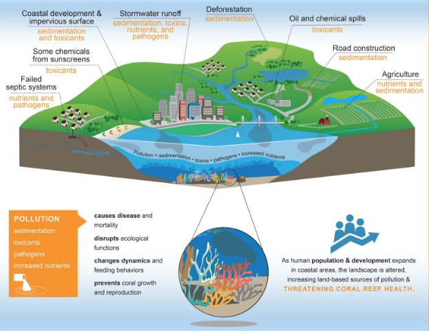 Diagram of ocean pollution types with a globe surrounded by coral reefs, buildings, trees, and water, accompanied by text.