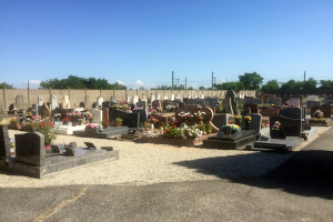 Ein Friedhof mit zahlreichen Blumen geschmückten Grabsteinen, einer fernen Wand, Strommasten mit Drähten, Bäumen und einem bewölkten Himmel.