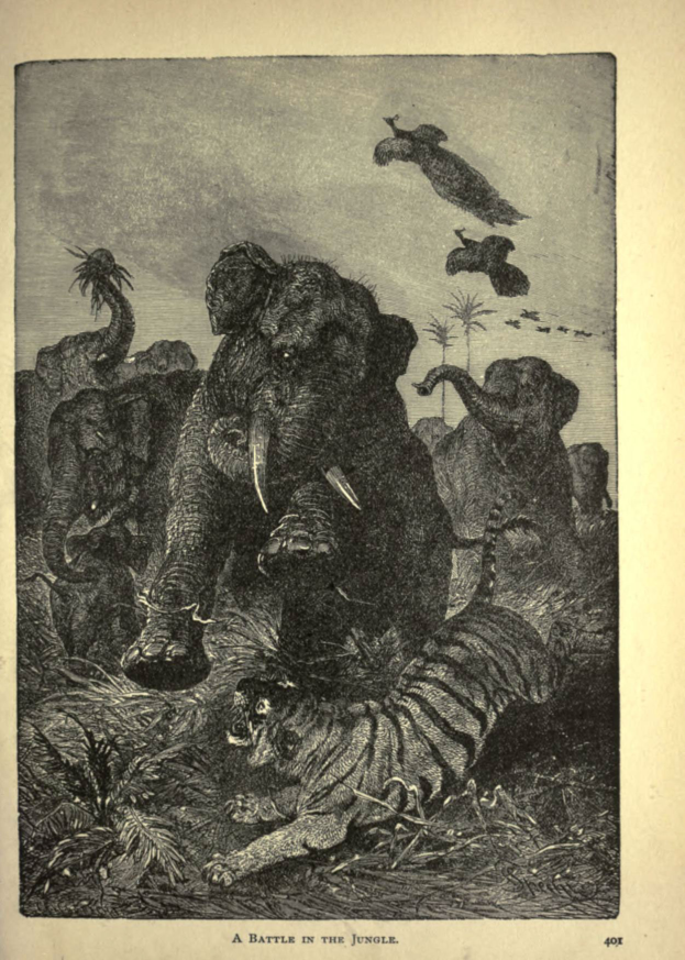 Ein Elefant und ein Tiger kämpfen im Dschungel, umgeben von Bäumen und Vögeln am Himmel, mit Text am unteren Bildrand.