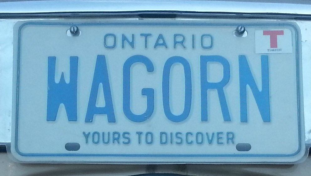 Ein weißes Nummernschild mit schwarzer Schrift, die 'Wagorn' lautet, an einem Auto.