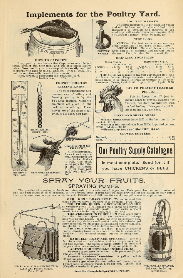 Alte Werbung für einen Hühnerhof mit Text und bunten Bildern von Geflügelprodukten, einschließlich Informationen über Zutaten, Preise und Anwendungsanweisungen.