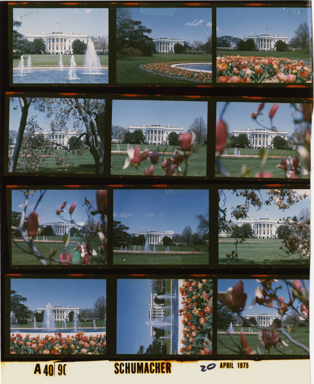 Collage of the White House with surrounding trees, water fountains, flowers, and sky, including text at the bottom.