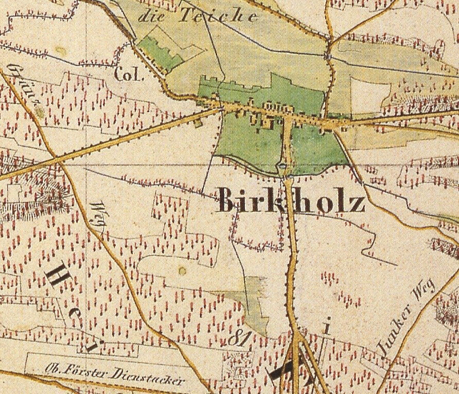 Old detailed map of Birkholz, Germany, with text annotations.