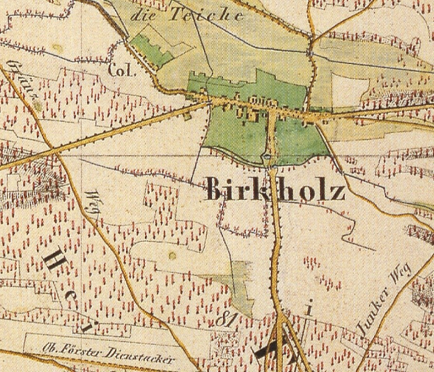 Old detailed map of Birkholz, Germany, with text annotations.