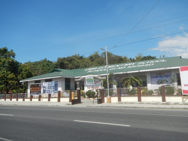 A school building with a green roof at a street corner, enclosed by a fence, with surrounding plants, trees, a street pole, text boards, a signboard, wires, and a cloudy sky.