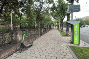 Ein Elektro-Scooter steht auf dem Straßenrand neben einer Bushaltestelle, mit Gras, Fahrzeugen, Bäumen, Polen, Drähten, Gebäuden und einem Mülleimer im Hintergrund.